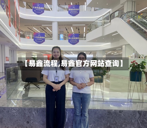 【易鑫流程,易鑫官方网站查询】-第3张图片