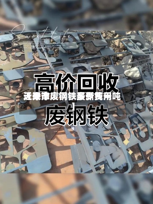 近来
【天津废钢铁最新费用
天津市废钢铁多少钱一吨】-第2张图片