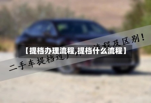 【提档办理流程,提档什么流程】