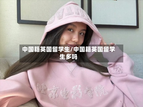 中国籍英国留学生/中国籍英国留学生多吗