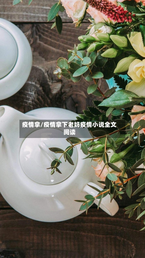 疫情拿/疫情拿下老妈疫情小说全文阅读-第2张图片