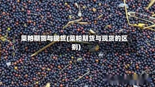菜粕期货与现货(菜粕期货与现货的区别)-第2张图片