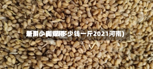 淅川小麦费用
是多少(小麦多少钱一斤2021河南)-第2张图片