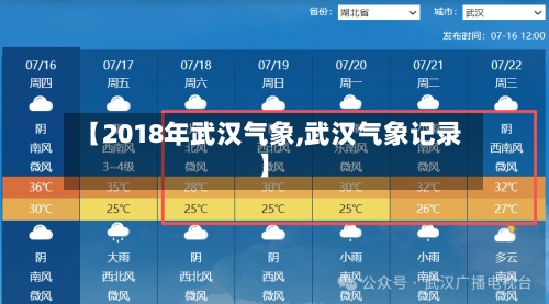 【2018年武汉气象,武汉气象记录】