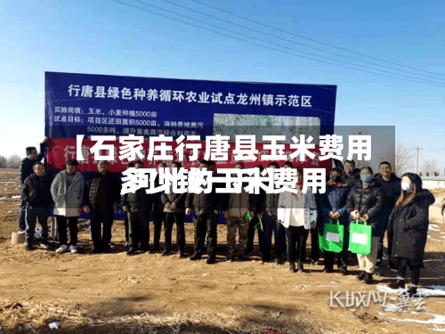 【石家庄行唐县玉米费用
,河北的玉米费用
多少钱一斤】
