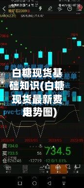 白糖现货基础知识(白糖现货最新费用走势图)