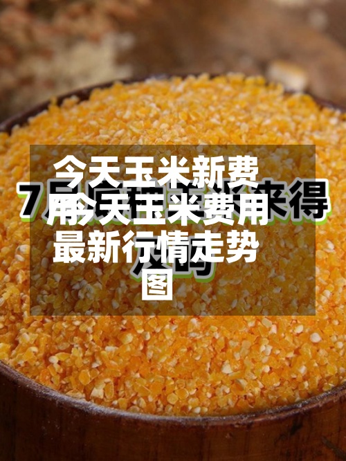 今天玉米新费用/今天玉米费用最新行情走势图