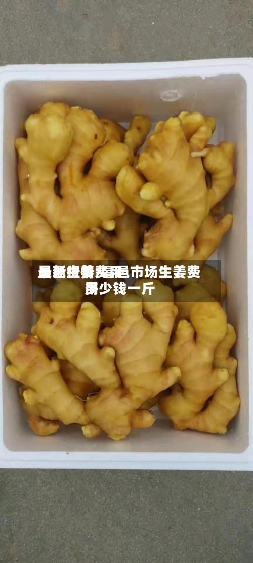 昌邑生姜费用
最新行情/昌邑市场生姜费用
多少钱一斤-第2张图片
