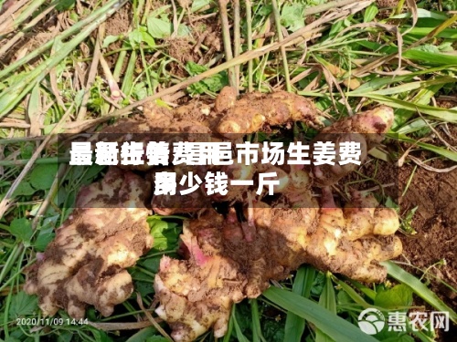 昌邑生姜费用
最新行情/昌邑市场生姜费用
多少钱一斤