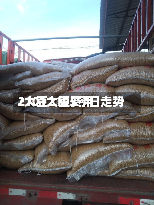2101大豆费用
/大豆2105今日走势