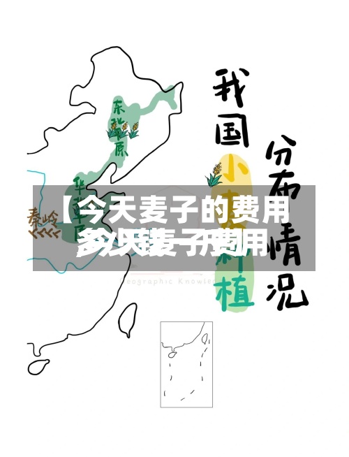 【今天麦子的费用
,今天麦子费用
多少钱一斤】