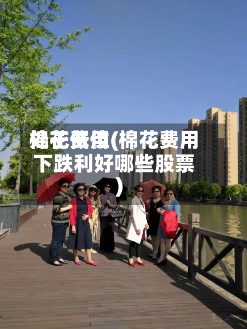 棉花费用
处于低位(棉花费用
下跌利好哪些股票)-第2张图片