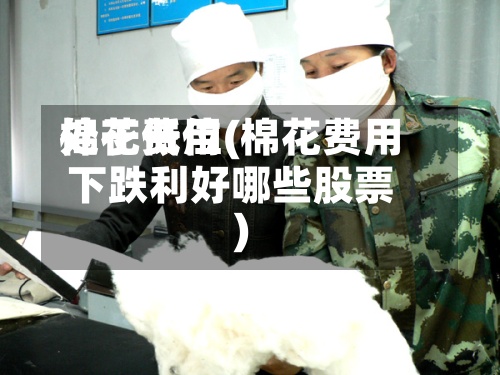 棉花费用
处于低位(棉花费用
下跌利好哪些股票)-第3张图片