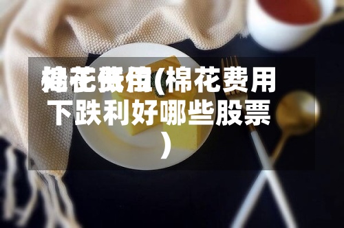棉花费用
处于低位(棉花费用
下跌利好哪些股票)