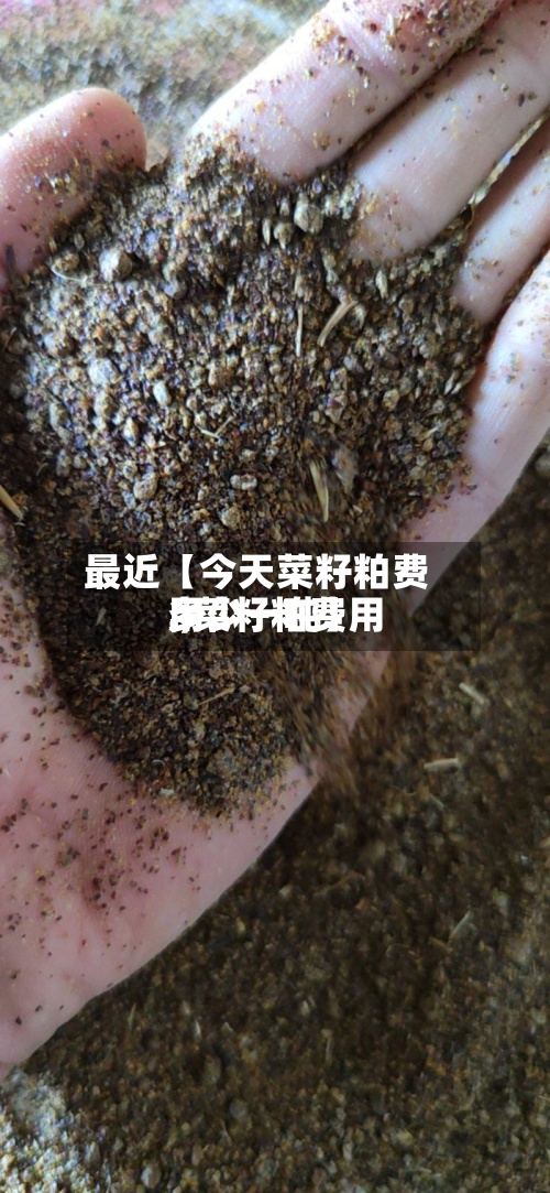 最近【今天菜籽粕费用.,菜籽粕费用多少一吨】-第3张图片