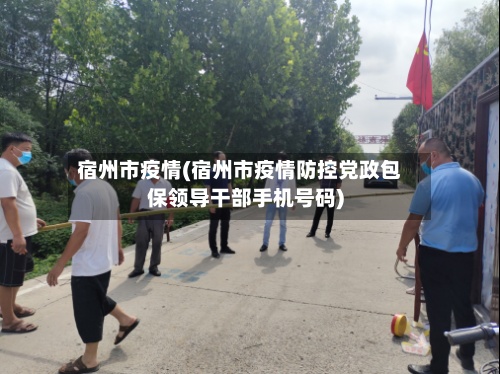宿州市疫情(宿州市疫情防控党政包保领导干部手机号码)-第3张图片