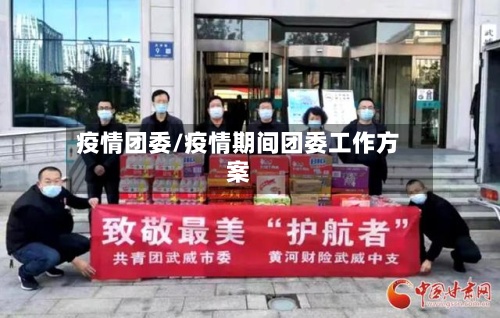 疫情团委/疫情期间团委工作方案-第2张图片