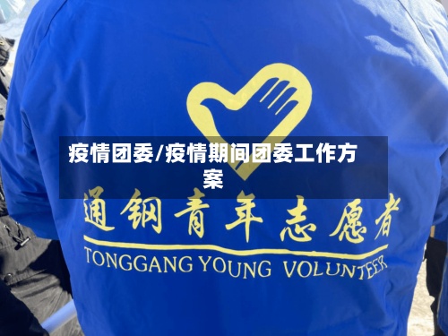 疫情团委/疫情期间团委工作方案-第3张图片