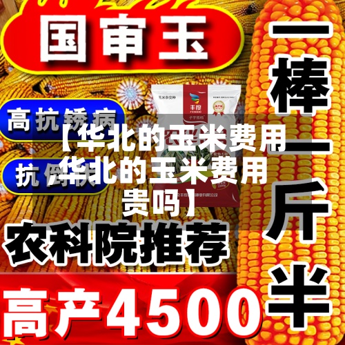 【华北的玉米费用
,华北的玉米费用
贵吗】-第2张图片