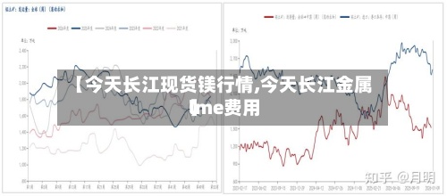 【今天长江现货镁行情,今天长江金属lme费用】-第2张图片