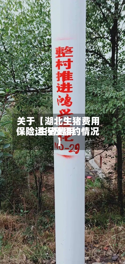 关于【湖北生猪费用
保险,生猪费用
保险运行及履约情况】