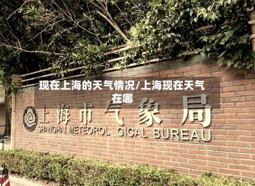 现在上海的天气情况/上海现在天气在哪