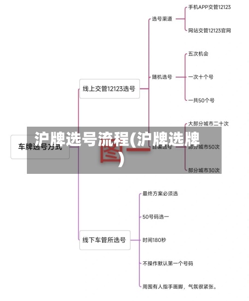 沪牌选号流程(沪牌选牌)