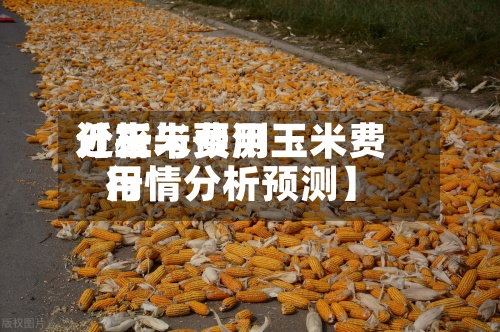 近来
【玉米费用
分析与预测玉米费用
行情分析预测】
