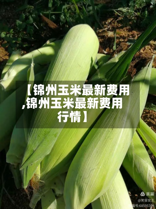 【锦州玉米最新费用
,锦州玉米最新费用
行情】-第2张图片
