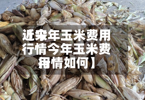 近来【今年玉米费用行情今年玉米费用行情如何】-第2张图片