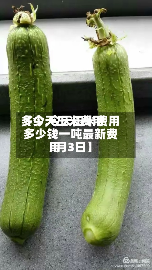 【今天玉米费用
多少,今天玉米费用
多少钱一吨最新费用
卄月3日】-第3张图片