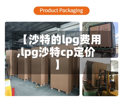 【沙特的lpg费用
,lpg沙特cp定价】-第3张图片