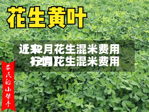 近来【12月花生混米费用12月花生混米费用行情】-第3张图片