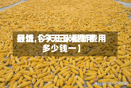 最近【今天玉米费用
行情,今天玉米最新费用
多少钱一】