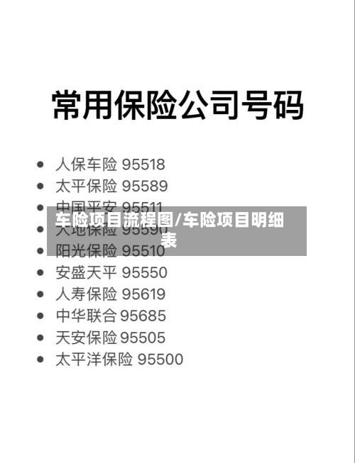 车险项目流程图/车险项目明细表