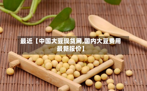 最近【中国大豆现货网,国内大豆费用最新报价】