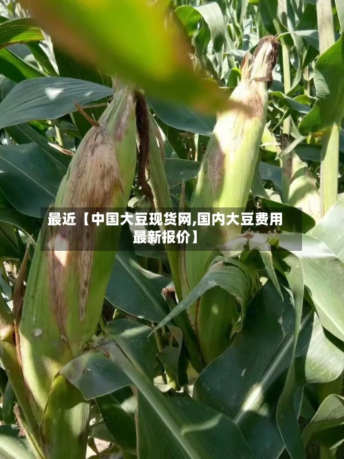 最近【中国大豆现货网,国内大豆费用最新报价】-第2张图片