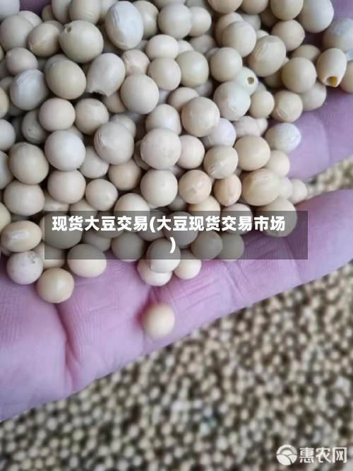 现货大豆交易(大豆现货交易市场)