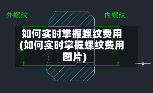 如何实时掌握螺纹费用(如何实时掌握螺纹费用图片)