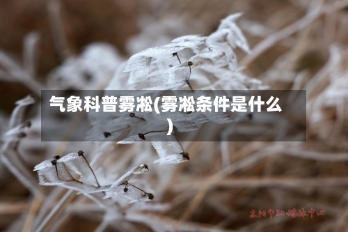 气象科普雾凇(雾凇条件是什么)-第2张图片