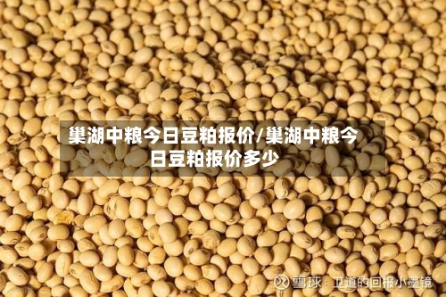 巢湖中粮今日豆粕报价/巢湖中粮今日豆粕报价多少