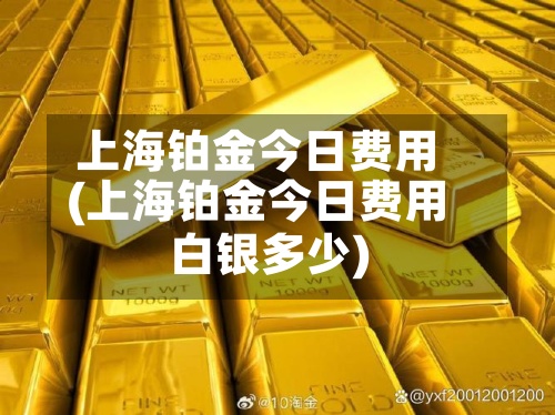 上海铂金今日费用
(上海铂金今日费用
白银多少)-第2张图片