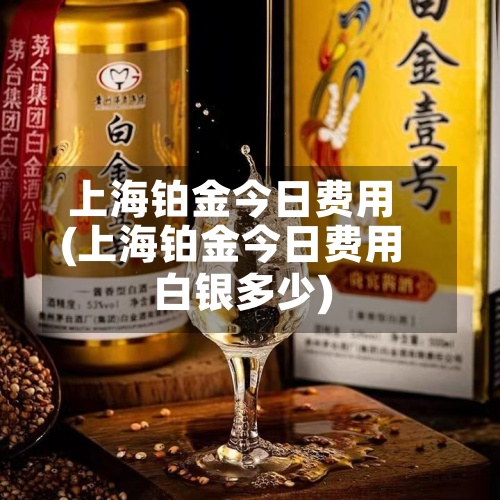 上海铂金今日费用(上海铂金今日费用白银多少)