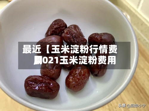 最近【玉米淀粉行情费用,2021玉米淀粉费用】