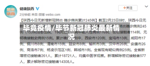 毕竟疫情/毕节新冠肺炎最新情况-第2张图片