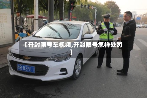 【开封限号车视频,开封限号怎样处罚】-第2张图片