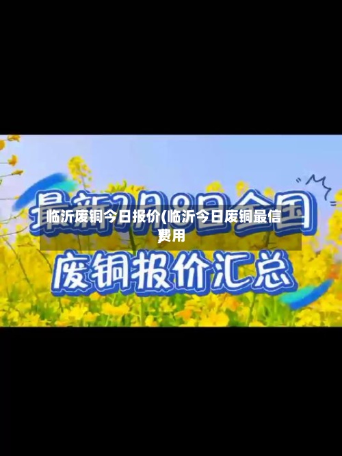 临沂废铜今日报价(临沂今日废铜最信费用)