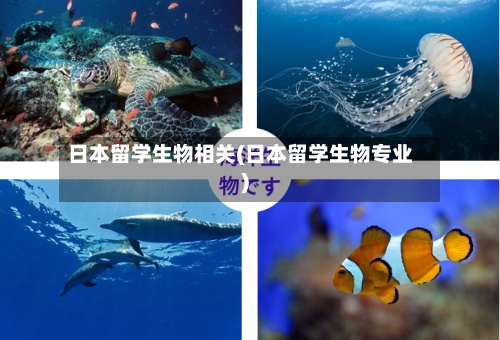 日本留学生物相关(日本留学生物专业)-第2张图片