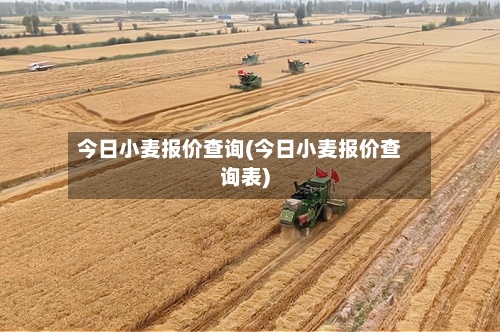 今日小麦报价查询(今日小麦报价查询表)