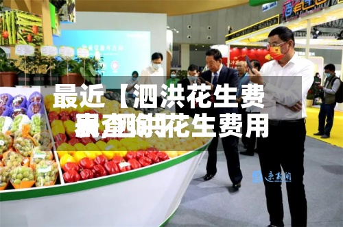 最近【泗洪花生费用
表,泗洪花生费用
表查询】-第3张图片
